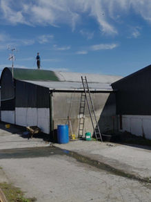 Agricultural pressure washing equipment