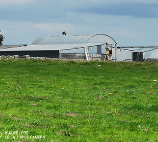 WhatsApp Image 2025-11-11 at 17.55.25_9c62ce79